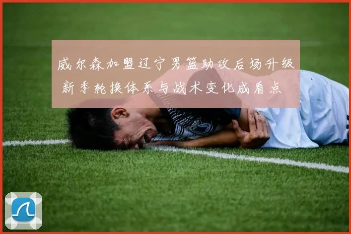 威尔森加盟辽宁男篮助攻后场升级 新季轮换体系与战术变化成看点