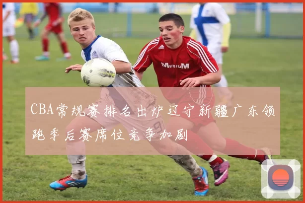 CBA常规赛排名出炉辽宁新疆广东领跑季后赛席位竞争加剧