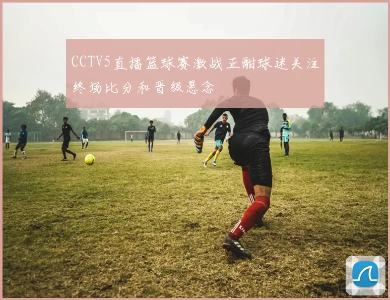 CCTV5直播篮球赛激战正酣球迷关注终场比分和晋级悬念