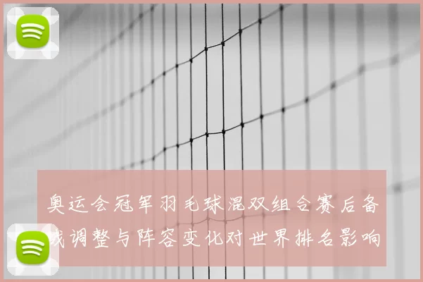 奥运会冠军羽毛球混双组合赛后备战调整与阵容变化对世界排名影响
