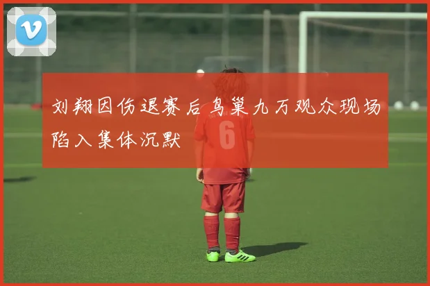 刘翔因伤退赛后鸟巢九万观众现场陷入集体沉默
