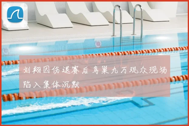 刘翔因伤退赛后鸟巢九万观众现场陷入集体沉默