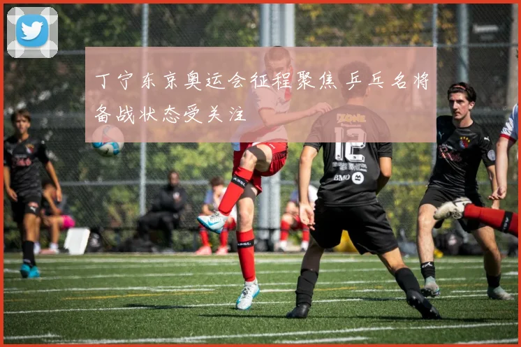 丁宁东京奥运会征程聚焦 乒乓名将备战状态受关注